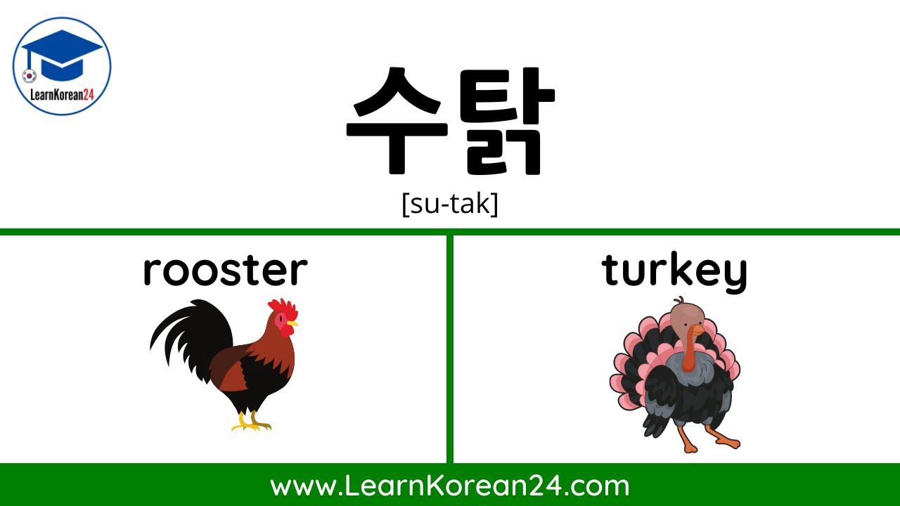 'Video thumbnail for Farm Animals in Korean | Korean Vocabulary Exercise'
