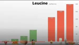 Levels of the amino acid leucine in foods