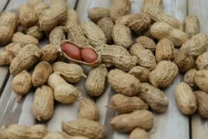Earth Nuts - Begins with E
