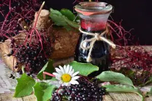 Elderberry - A food beginning with E