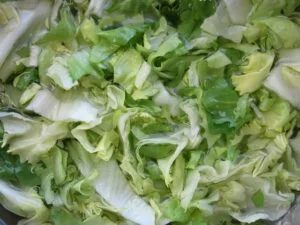 Endive - Healthy Food that Starts with E