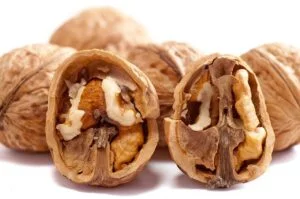 English Walnuts start with E