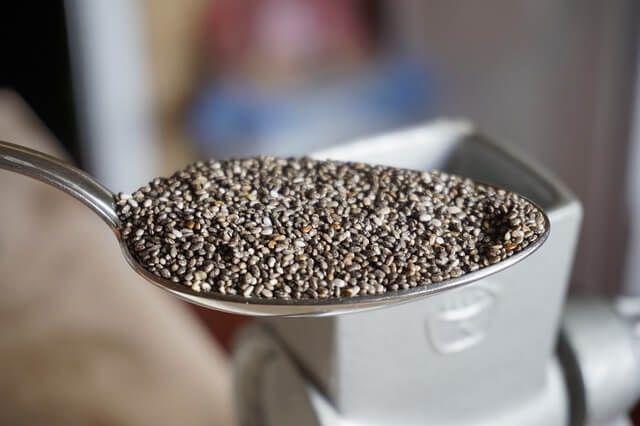 can dogs eat ground chia seeds