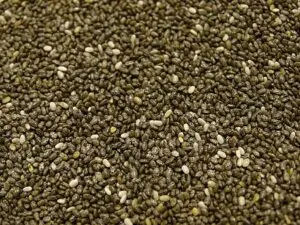 How long do chia seeds last? in the pantry, water, or fridge