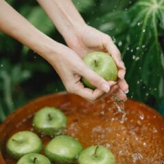 Fruits that start with A