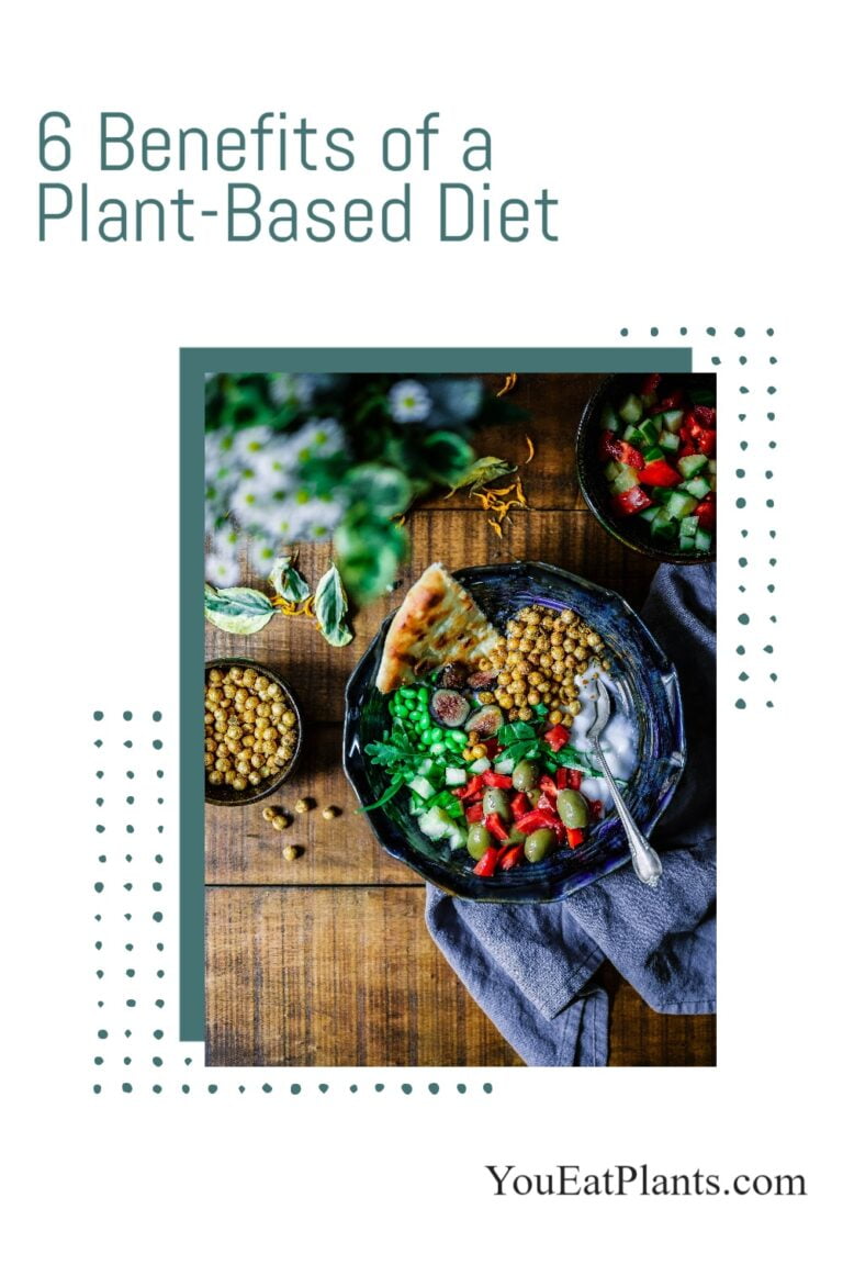 6 Benefits of a PlantBased Diet (Health, Environment, Athletes