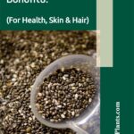 35+ Chia Seeds Benefits - (For Health, Skin & Hair)