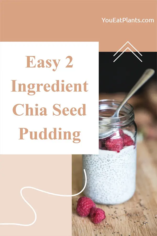 Easy 2 Ingredient Chia Seed Pudding Recipe