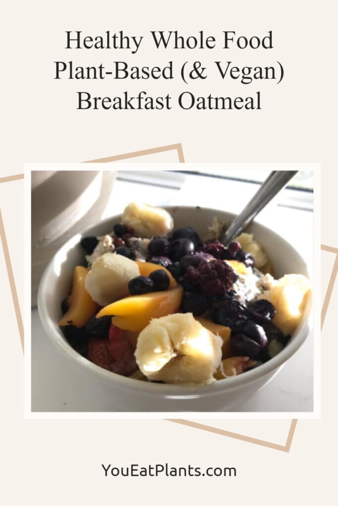 Healthy Whole Food Plant-Based and Vegan Breakfast Oatmeal Bowl