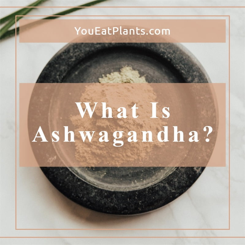 What is Ashwagandha?