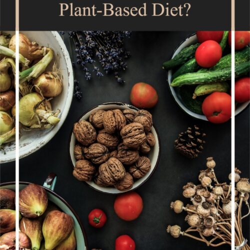 Whole Food PlantBased Snacks A Guide (with Healthy Ideas)