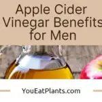 Top Apple Cider Vinegar Benefits for Men