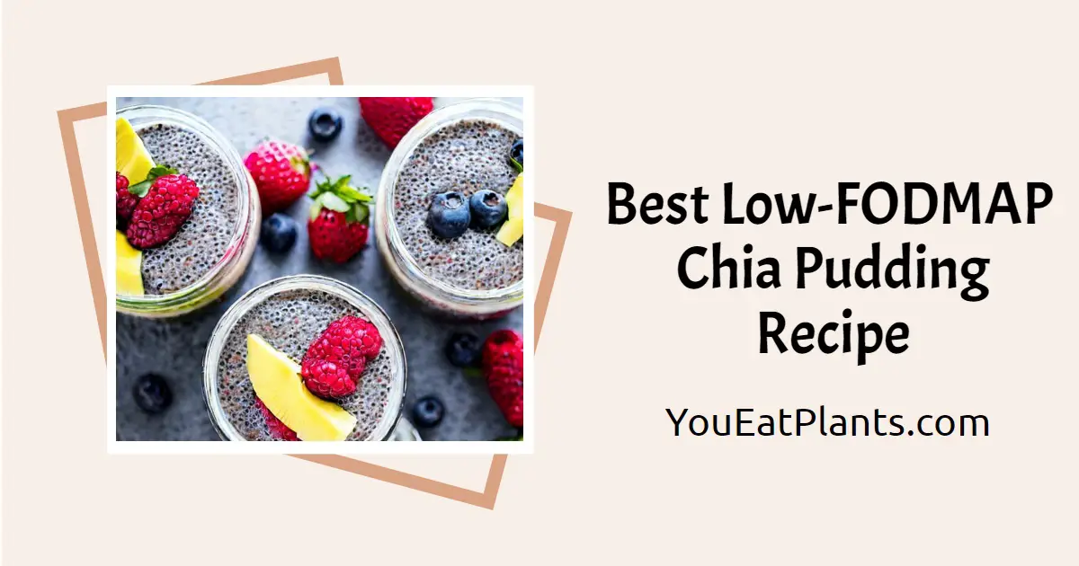 Best Low-FODMAP Chia Pudding Recipe