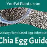 The Chia Egg - An Easy Plant-Based Egg Substitute