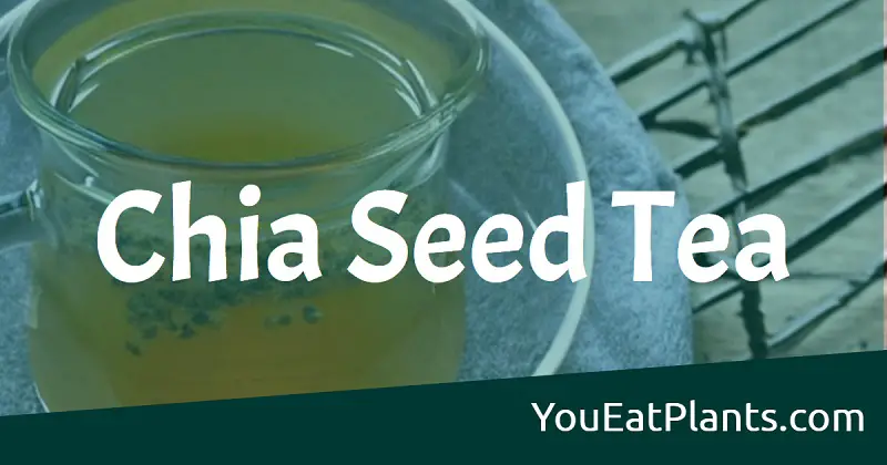 Chia seed tea
