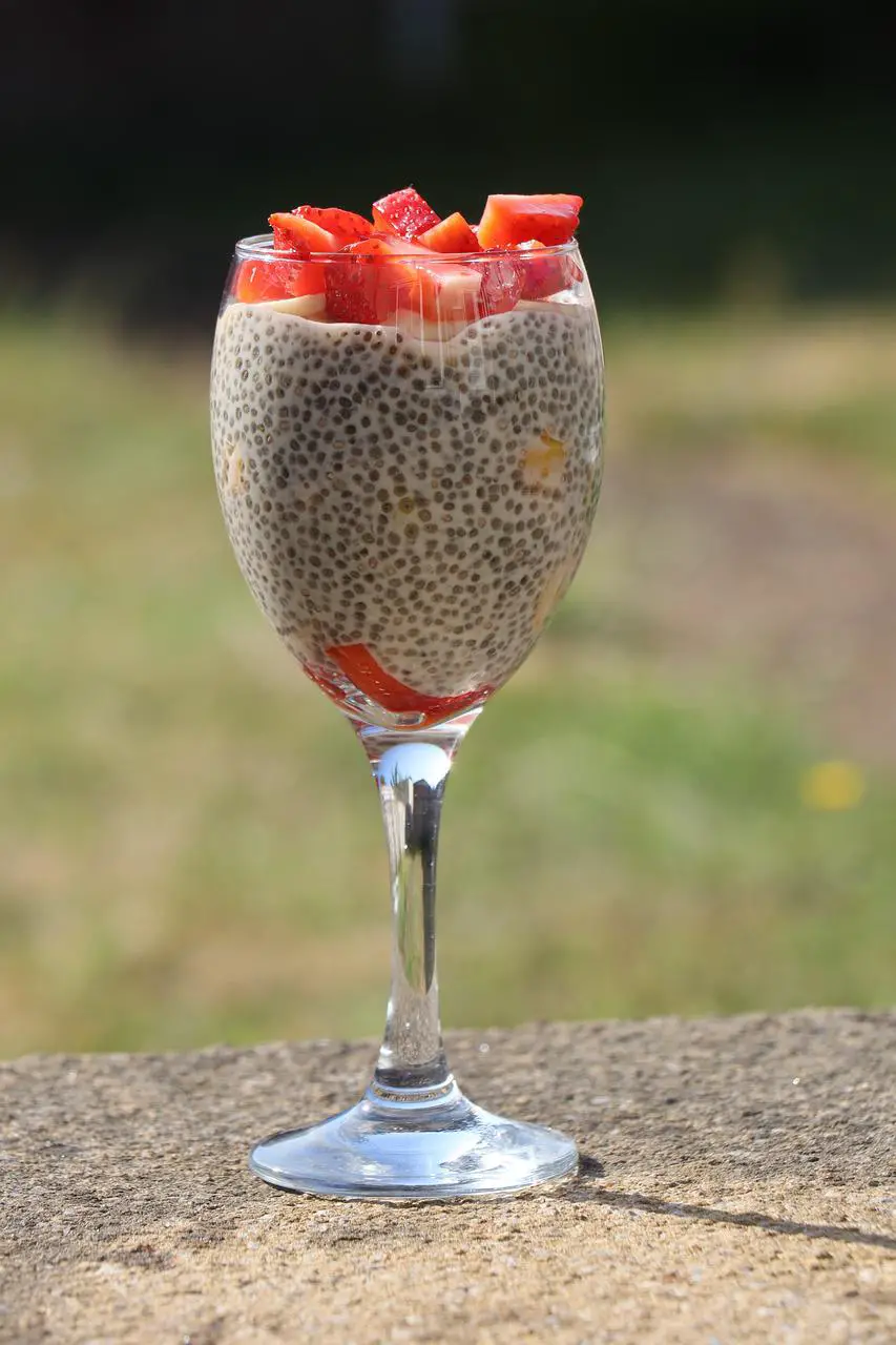 Easy 2 Ingredient Chia Seed Pudding