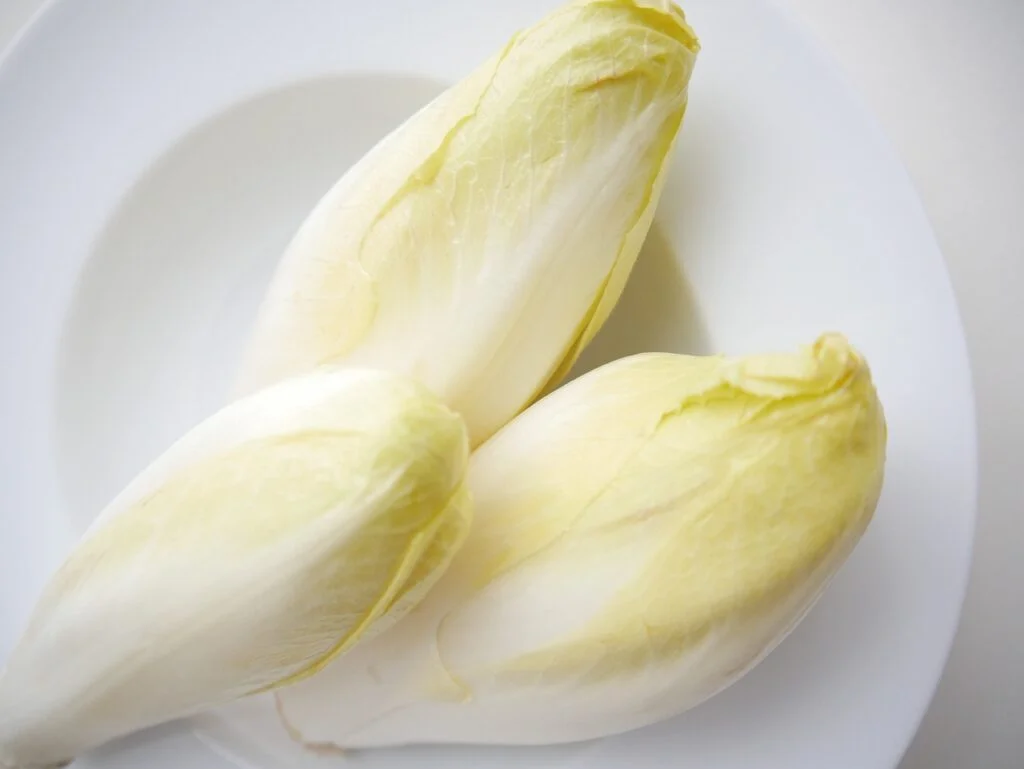 Chicory