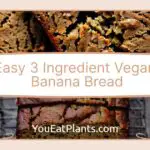 Easy 3 Ingredient Vegan Banana Bread (Healthy & Gluten-Free)