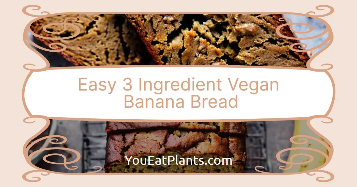 Easy 3 Ingredient Vegan Banana Bread