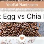 Flax Egg vs Chia Egg - Which To Use?