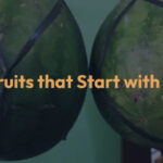 What Fruits Start with the Letter 'X'?