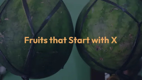 Fruits that start with X