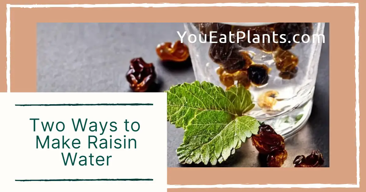 How to make raisin water - 2 ways
