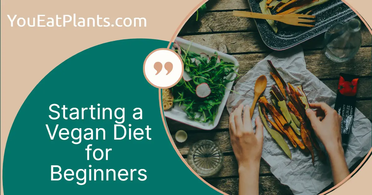 How to start a vegan diet for beginners