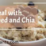 Oatmeal with Flaxseed and Chia