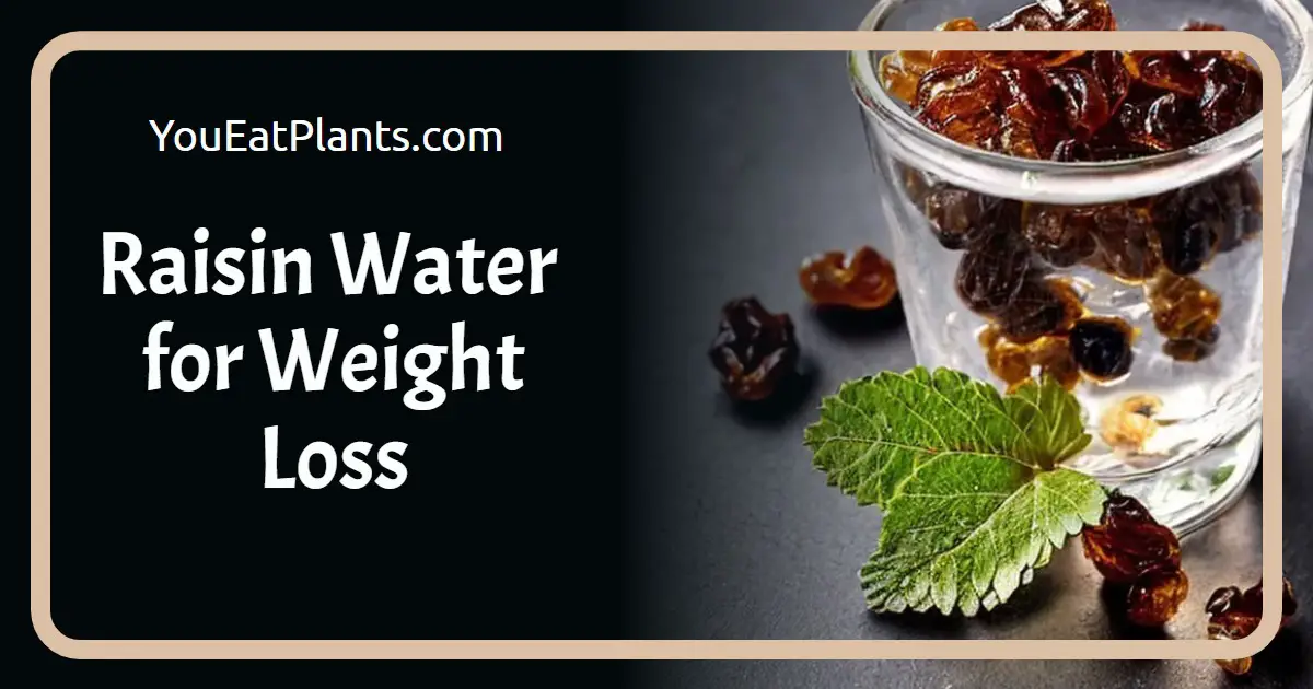 Raisin water for weight loss
