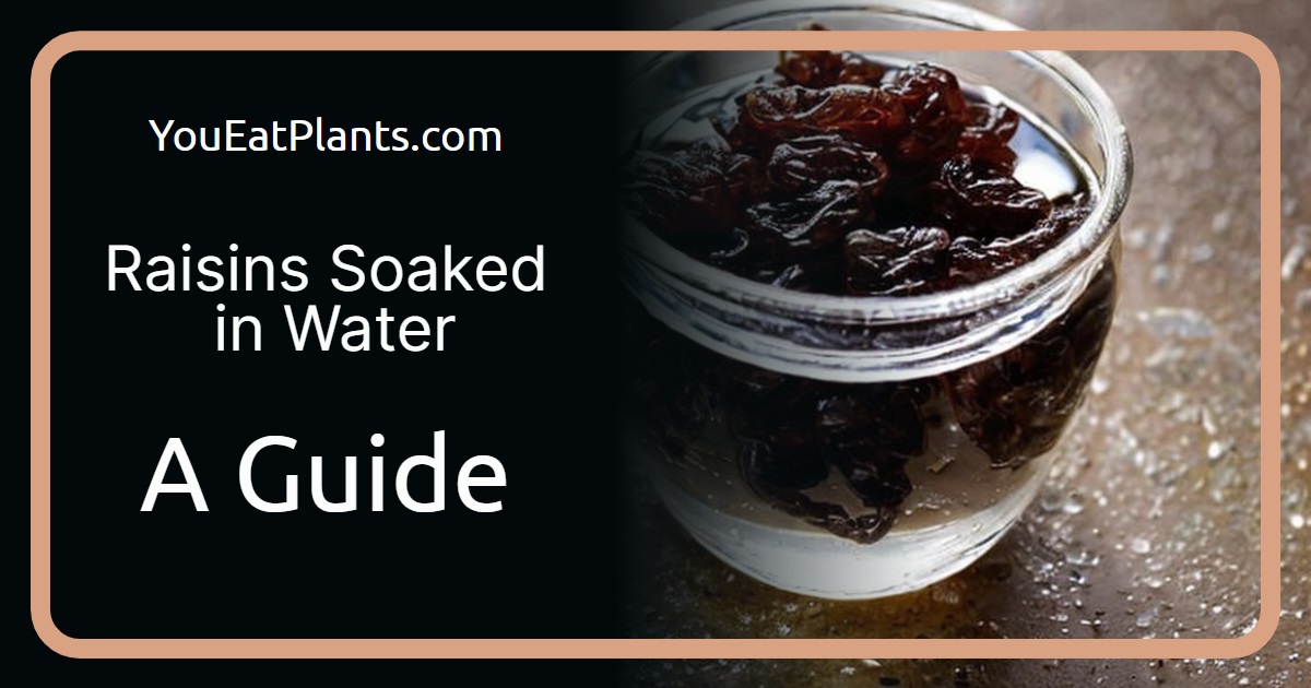 Raisins soaked in water guide