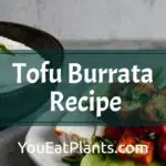 Tofu Burrata: A Simple and Delicious Plant-Based Recipe for Any Occasion