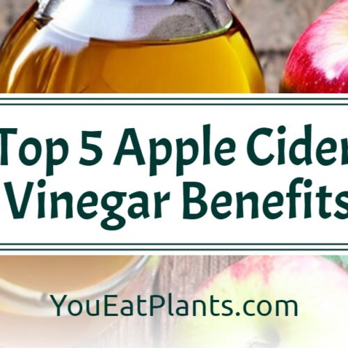 Top Apple Cider Vinegar Benefits for Men - YouEatPlants.com