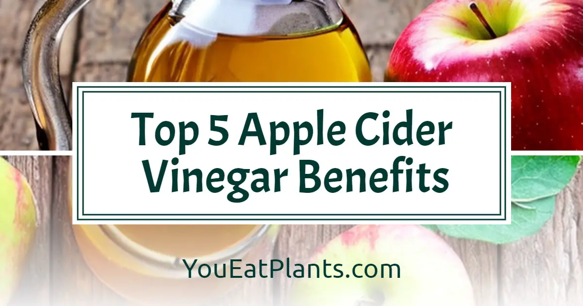 Top 5 Apple Cider Vinegar Benefits