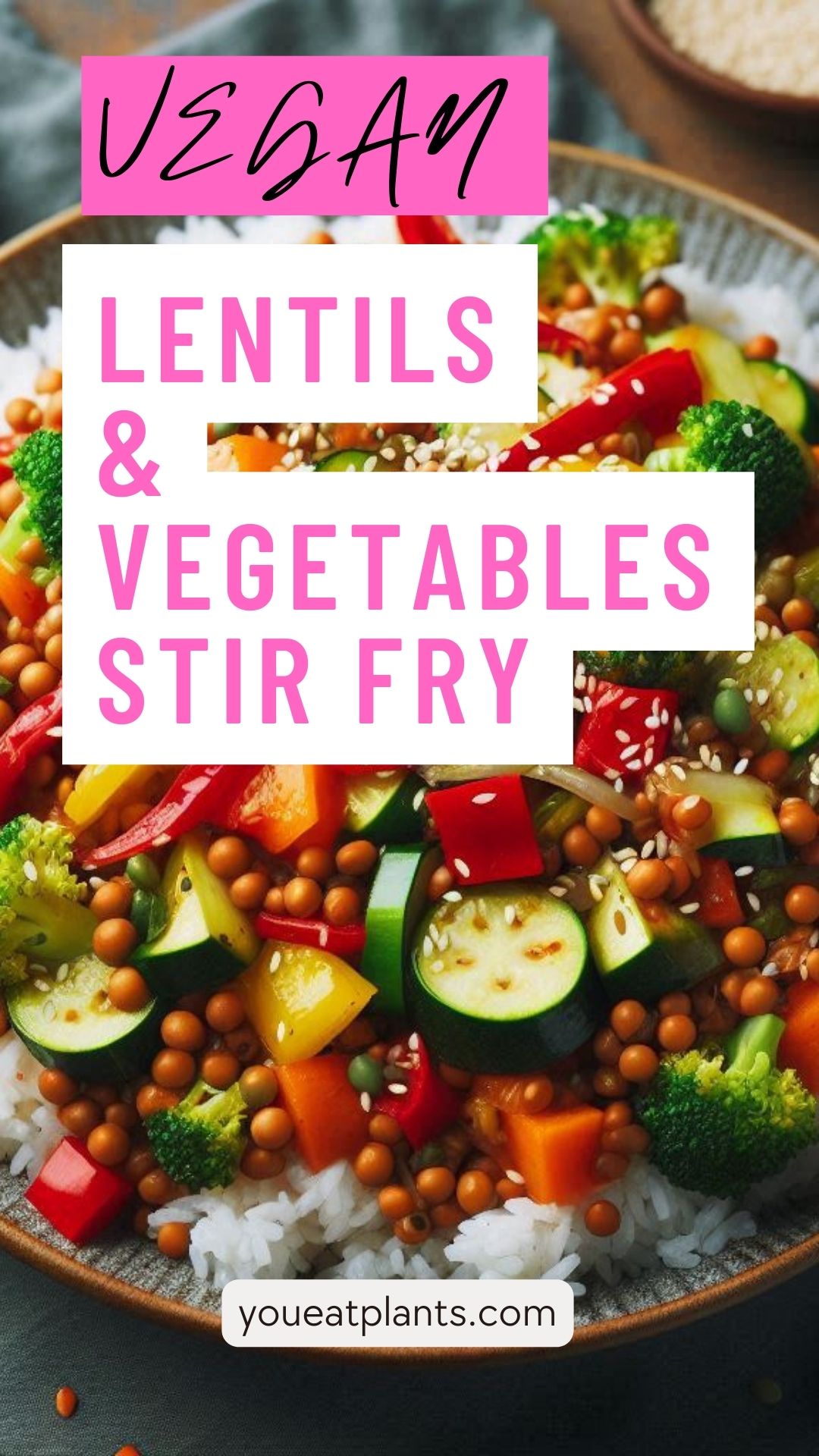 vegan lentils and vegetable stir fry recipe