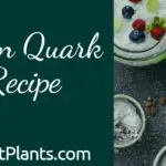 Vegan Quark - What It Is & How to Make It