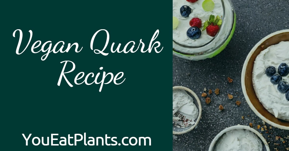 Vegan Quark What It Is & How to Make It