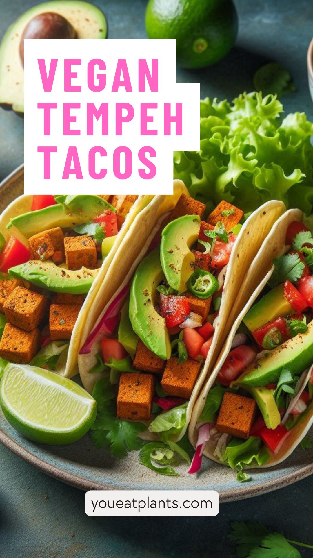 Vegan tempeh tacos recipe