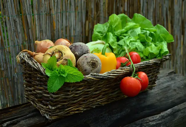 Popular vegetables in a basket