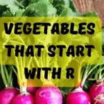 Popular Vegetables that Start with R