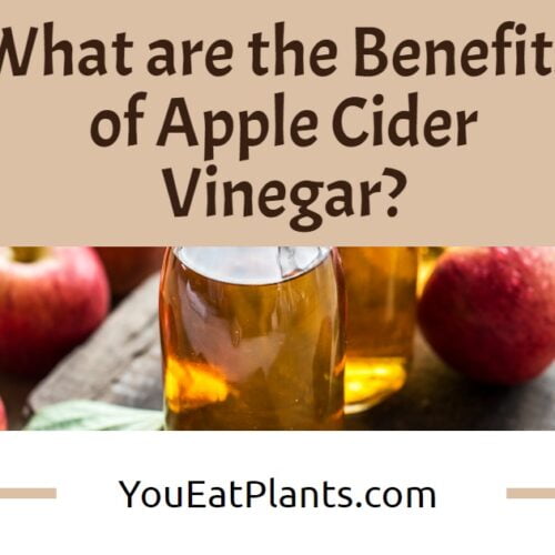 Top Apple Cider Vinegar Benefits for Men - YouEatPlants.com