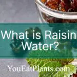 What is Raisin Water?