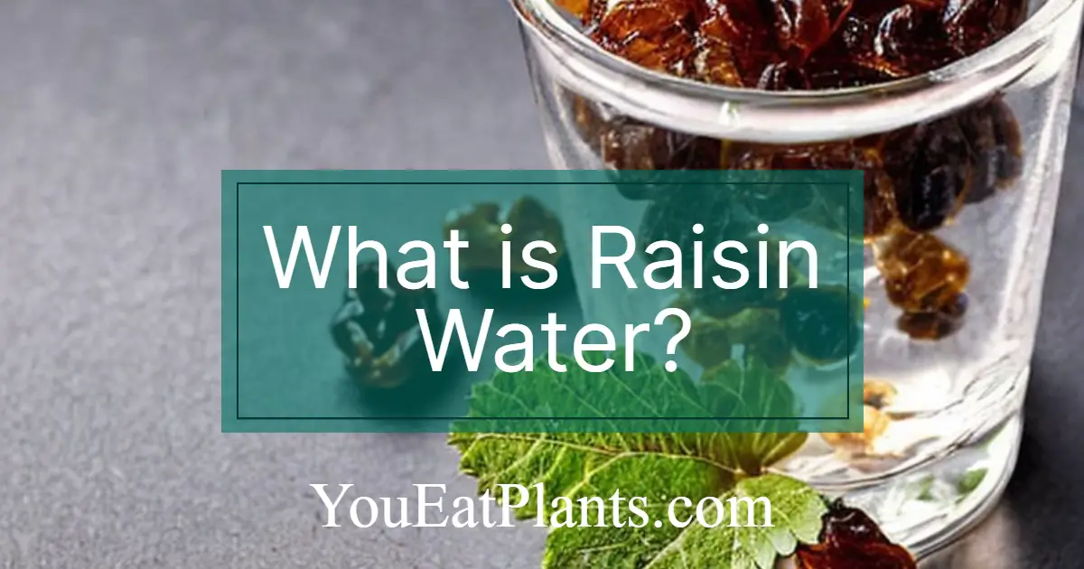 What is raisin water?